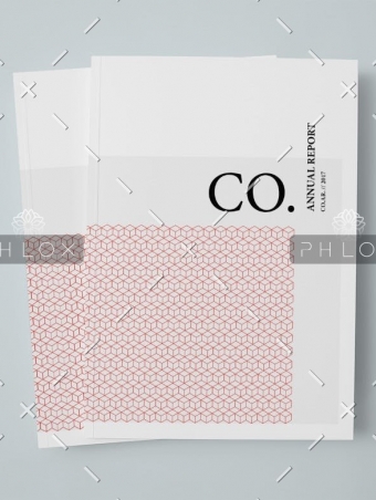 demo-attachment-18-CO.-Annual-Report